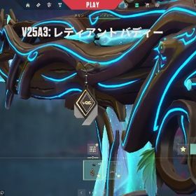 V25A1 元レディアントアカウント | VALORANT(ヴァロラント)のアカウントデータ、RMTの販売・買取一覧