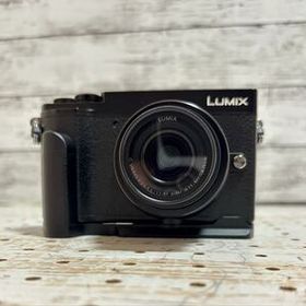 LUMIX DC-GX7MK3K標準ズームレンズキット付 12-32mm/F3.5-5.6