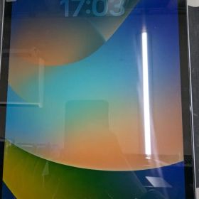 iPadPro 11インチ 第4世代 256GB Cellularモデル