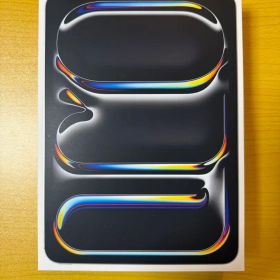 【美品】Apple iPad Pro 11インチ M4 シルバー 256GB