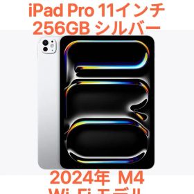 美品 iPad Pro 11インチ 256GB シルバー M4 WiFi モデル