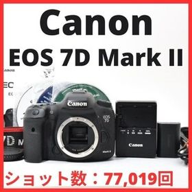 L11[7126]38★美品★ キヤノン Canon EOS 7D Mark II ボディ 【ショット数 77,019回】