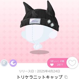トリケラニットキャップ 双子分 | ポケコロツイン(ポケツイ)のアカウントデータ、RMTの販売・買取一覧