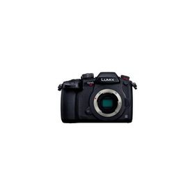【新品/取寄品】Panasonic LUMIX DC-GH5S ボディ デジタルミラーレス一眼カメラ パナソニック