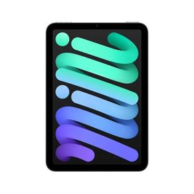 新品未開封 AppleiPad mini 8.3インチ Wi-Fi 256GB 2024年秋モデル MXNA3J/Aスペースグレイ 4549995526523