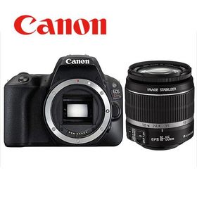 キヤノン Canon EOS Kiss X9 EF-S 18-55mm 標準 レンズセット 手振れ補正 デジタル一眼レフ カメラ 中古