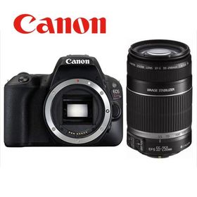 キヤノン Canon EOS Kiss X9 EF-S 55-250mm 望遠 レンズセット 手振れ補正 デジタル一眼レフ カメラ 中古