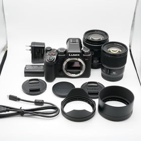 新品級 パナソニック Panasonic DC-S5M2W ダブルズームセット