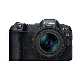 中古 １年保証 美品 Canon EOS R8 RF24-50 IS STM