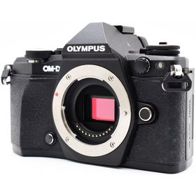 オリンパス ミラーレス OLYMPUS OM-D E-M5 Mark II ボディ ブラック 中古 美品 フラッシュ＆新品SDカード付き 付属品充実 Wi-Fi搭載