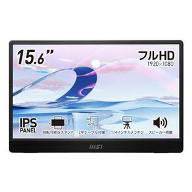 MSI エムエスアイ PRO MP161 E2 PRO-MP161-E2(2656286)