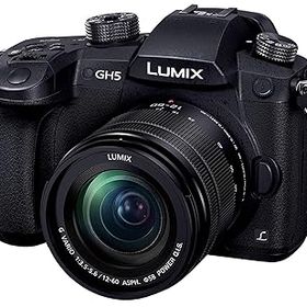 【中古】(良い)パナソニック(Panasonic) ミラーレス一眼カメラ ルミックス GH5 レンズキット 標準ズームレンズ付属 ブラック DC-GH5M-K