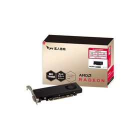 玄人志向 グラフィックボード AMD Radeon RX550 GDDR5 4GB 搭載モデル 国内品 RD-RX550-E4GB/LP 黒