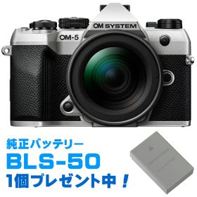 純正スペアバッテリープレゼント！ OM SYSTEM オーエムシステム 【純正スペア電池プレゼント】OM-5 Mark II 12-45mm F4.0 PROレンズキット シルバー 【10,000円分キャッシュバック！25.11.1(土)-26.1.26(月)まで】 【お得なセットもあります】