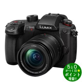 パナソニック ルミックス カメラ ミラーレス一眼カメラ 標準ズームレンズキット LUMIX DC-GH5M2 Panasonic【転送不可】