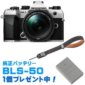 OM SYSTEM オーエムシステム OM-5 Mark II 14-150mm II レンズキット シルバー＋P-CB-296(ディープグレー) セット