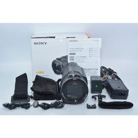 ソニー SONY Handycam FDR-AX60
