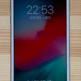 Apple iPhone 6 シルバー 4.7インチ 本体 ジャンク品