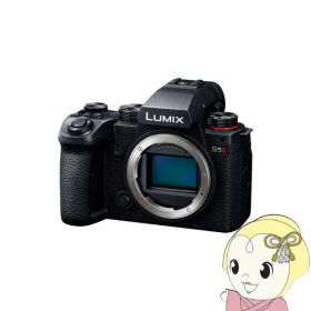 【12/18限定ダイヤモンド会員はエントリーで当店全品最大P8倍】デジタル一眼カメラ Panasonic パナソニック LUMIX DC-S5M2 ボディ DC-S5M2【KK9N0D18P】