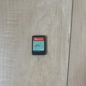 あつまれどうぶつの森 ソフトのみ