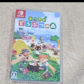 あつまれ どうぶつの森 Nintendo Switch