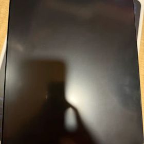 iPad Pro 12.9インチ（第5世代）256GB Wi-Fiモデル