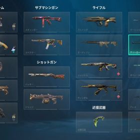 イモータルアカウント 総課金額１８万円 限定品多数 引退アカウント 値下げ交渉可 | VALORANT(ヴァロラント)のアカウントデータ、RMTの販売・買取一覧