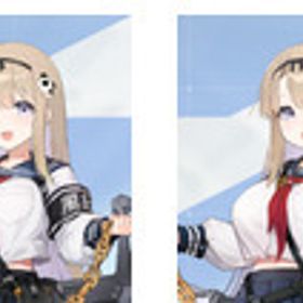 カリーペ+ハル2凸 初心者ガチャ未使用 | カオゼロ(カオスゼロナイトメア)のアカウントデータ、RMTの販売・買取一覧