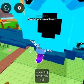 必見 写真の他にも欲しいもの言ってもらえれば専用(せんよう)立てます セット割引あり | ロブロックス(ROBLOX)のアカウントデータ、RMTの販売・買取一覧