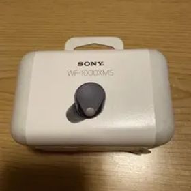 SONY WF-1000XM5 ぼっちざろっく 後藤ひとり ワイヤレスイヤホン