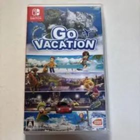 【起動確認OK】 Switch GO VACATION
