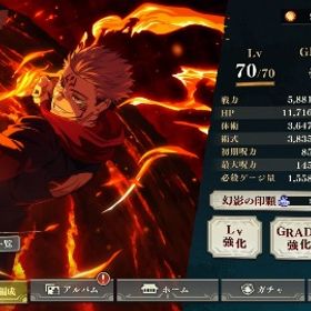 新宿儺3凸、2周年キャラコンプ、青宿儺所持、ストーリーも4章までしかやっていません | ファンパレ(呪術廻戦ファントムパレード)のアカウントデータ、RMTの販売・買取一覧