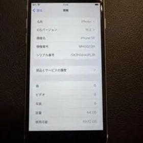 美品Apple iPhone SE 64GB