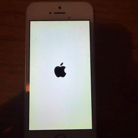 Apple iPhone SE 本体 (第一世代)