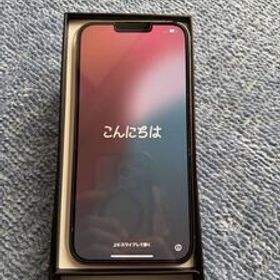 iPhone13 Pro Max 256GB