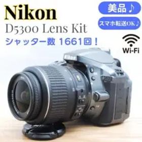 ⭐️希少グレー♪新品級！⭐️Nikon D5300 Wi-Fi スマホ転送OK