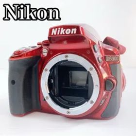 H-197 Nikon D5300 ボディ レッドカラー 動作確認済 デジタル一眼レフ 2416万画素 Wi-Fi内蔵 初心者おすすめ Fマウント互換多数
