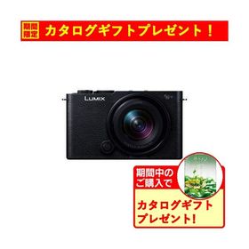 【期間限定ギフトプレゼント】パナソニック DC-S9N-K S9 広角ズームレンズキット ミラーレス一眼カメラ LUMIX ジェットブラック