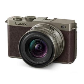 10年間保証付き パナソニック LUMIX DC-S9N-N 広角ズームレンズキット チタンゴールド