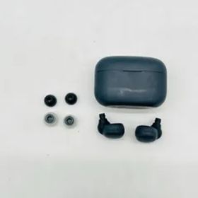 ワイヤレスノイズキャンセリングステレオイヤホン LinkBuds S WF-LS900N