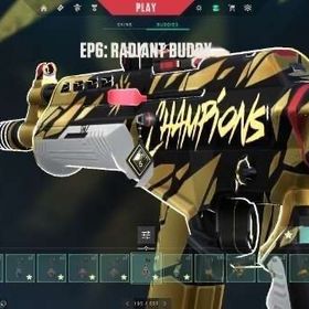 2021〜2024＆限定スキンほぼ全所持EP6レディアント | VALORANT(ヴァロラント)のアカウントデータ、RMTの販売・買取一覧