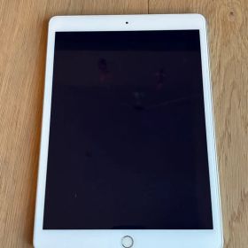 Apple iPad 10.2インチ 本体 A2270 第８世代