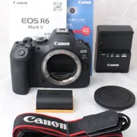 ☆新品級・ショット数1000☆ Canon EOS R6 Mark II ボディ キヤノン EOSR6MK2 ミラーレスカメラ #3475