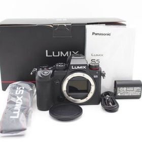 ショット数14397！■美品■ PANASONIC フルサイズ ミラーレス一眼カメラ ルミックス S5 ボディブラック DC-S5-K ♯89040