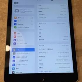 【Apple】ipad Air 2 / 128GB