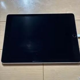 Apple iPad Air 2 128GB space gray 本体 充電器