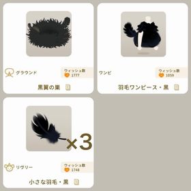 黒い羽毛セット | リヴリーアイランドのアイテム、RMTの販売・買取一覧