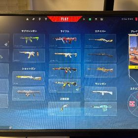 valorant champion2021.2022スキン所持、