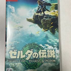 ゼルダの伝説 ティアーズ オブ ザ キングダム Switch