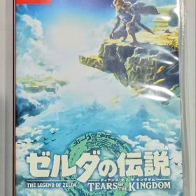 ゼルダの伝説 ティアーズ オブ ザ キングダム -Switch